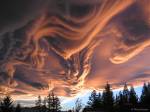 1_asperatus_priester_1024.jpg